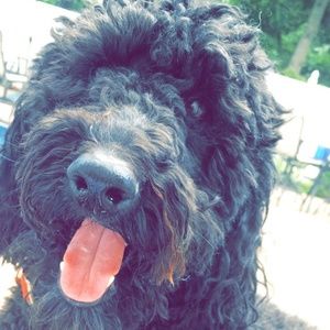 Meet your Posher, Alex