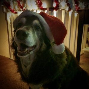 Meet your Posher, Adrienne