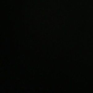 Meet your Posher, Abigail