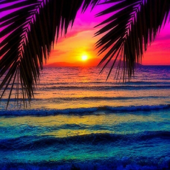 Meet your Posher, Damien - Picture 1 of 1