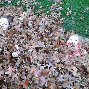 Meet your Posher, Patty