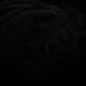 Meet your Posher, Renata