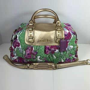 Coach Ashley Large Satchel