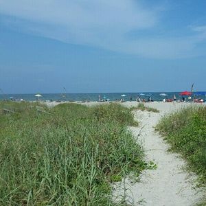 Meet your Posher, Bernadette