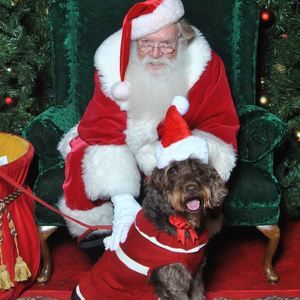 Meet your Posher, Barbara