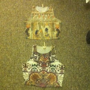 Graphic crop top bundle!