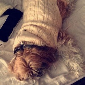 Meet your Posher, Samantha