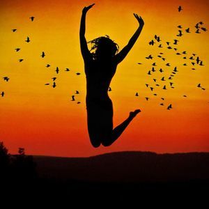 Meet your Posher, Ginger