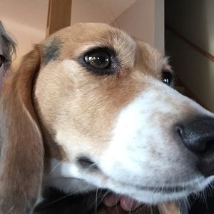 Meet your Posher, Cathy