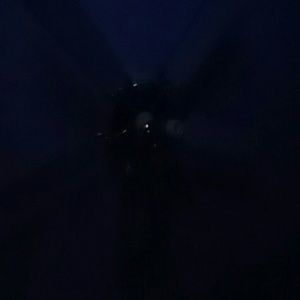 Meet your Posher, Reginald