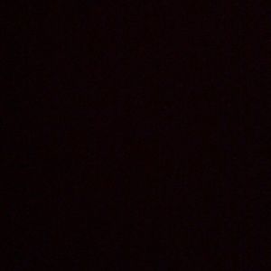 Meet your Posher, Shauny