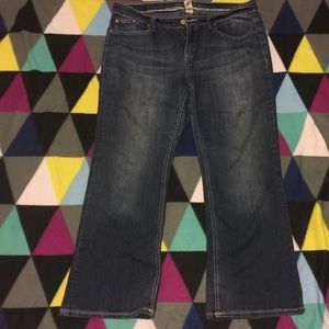 Maurice's Orchid Jeans