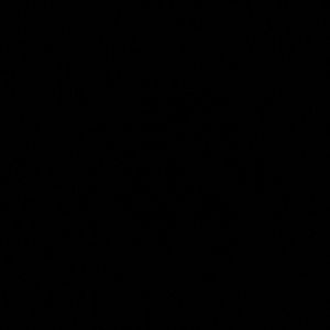 Meet your Posher, Anastacio