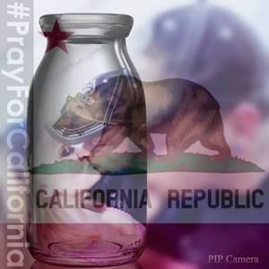 Meet your Posher, Robert n sarah