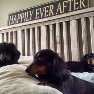 Meet your Posher, Tracy