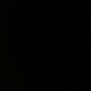 Meet your Posher, Peter