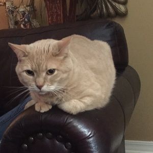 Meet your Posher, Mae