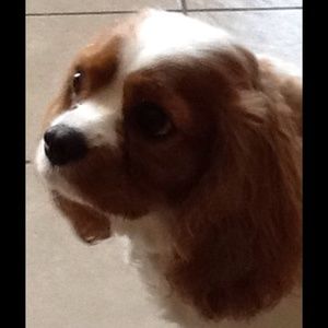 Meet your Posher, Jasmin