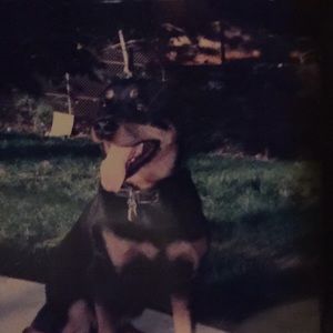 Meet your Posher, Hydie