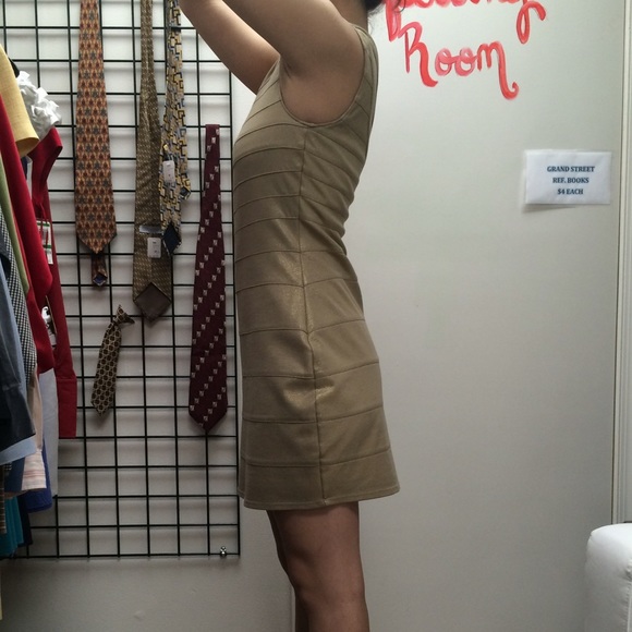 Express Dress - Picture 3 of 4