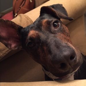 Meet your Posher, Stacy