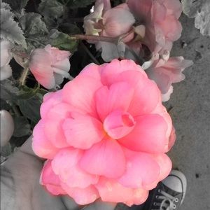 Meet your Posher, Nayeli