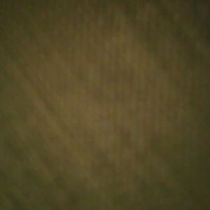 Meet your Posher, Mia