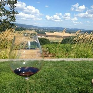 Meet your Posher, Bambi