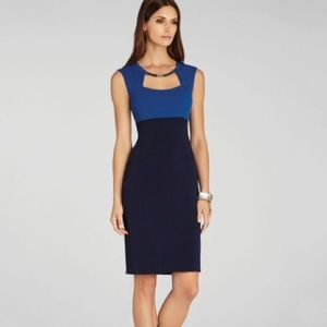 BCBG Clara Dress