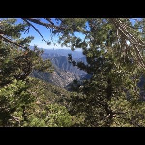 Meet your Posher, Chung