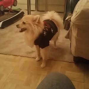 Meet your Posher, Ana