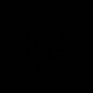 Meet your Posher, Briana