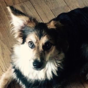 Meet your Posher, Leigh