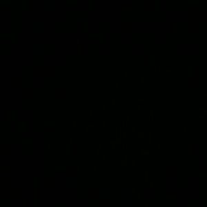 Meet your Posher, Ariana