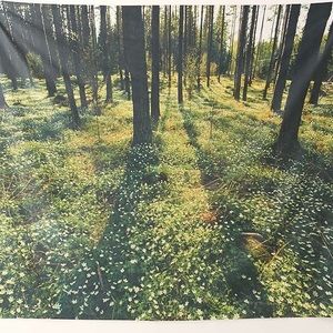 Urban Outfitters Moonbeam Tapestry