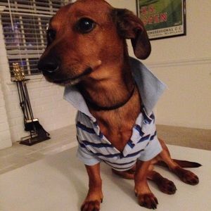 Meet your Posher, Julie