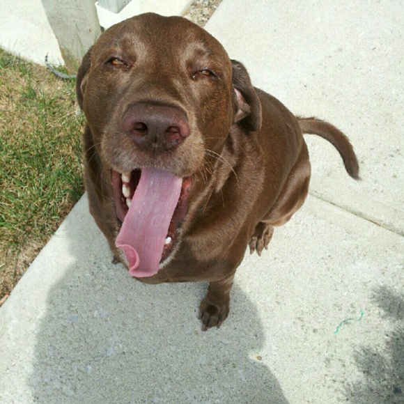 Meet your Posher, Timira