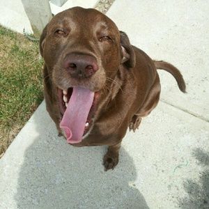 Meet your Posher, Timira