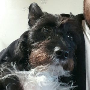 Meet your Posher, Gilbert