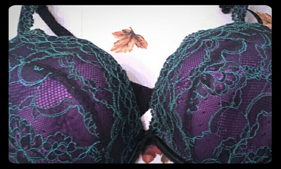 Cacique Lane Bryant bra