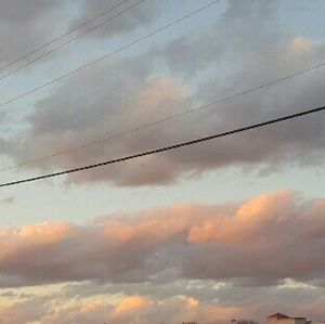 Meet your Posher, Ernesto