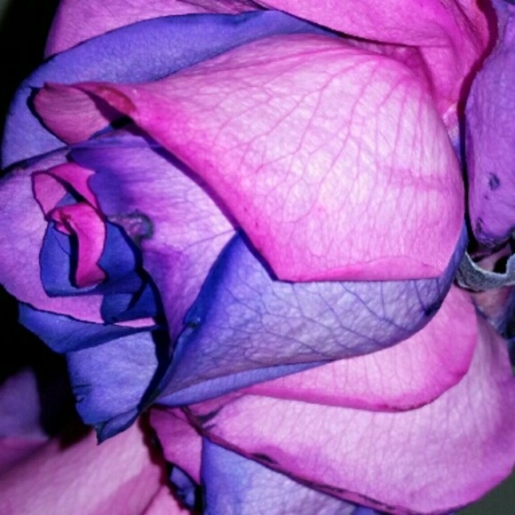 Meet your Posher, Kayla - Picture 1 of 1