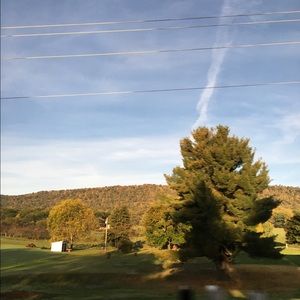 Meet your Posher, Lois