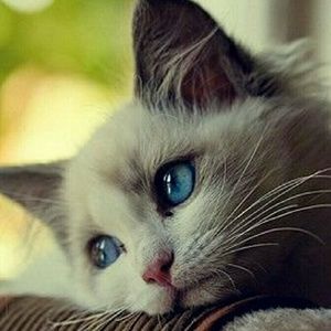 Meet your Posher, Ezinne