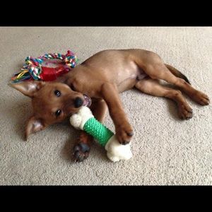 Meet your Posher, Kristin