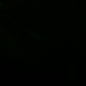 Meet your Posher, Shawn