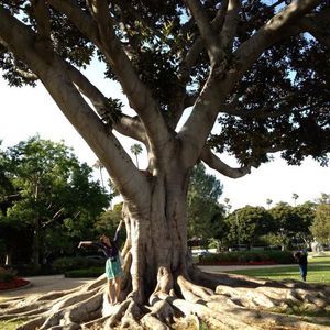 Meet your Posher, Pei