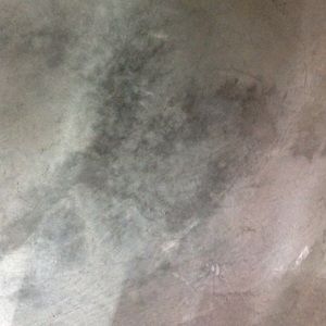 Meet your Posher, Mildred