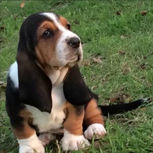 Meet your Posher, Clint