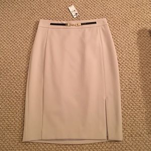 Express- Pencil skirt